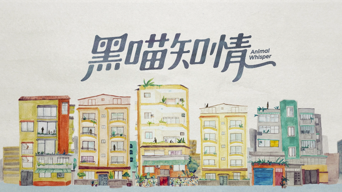 黑喵知情 電視劇片頭動畫